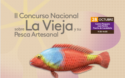 Candelaria acoge el 2º Concurso Nacional «Candelaria» dedicado a la Vieja, emblema de la pesca sostenible en Canarias