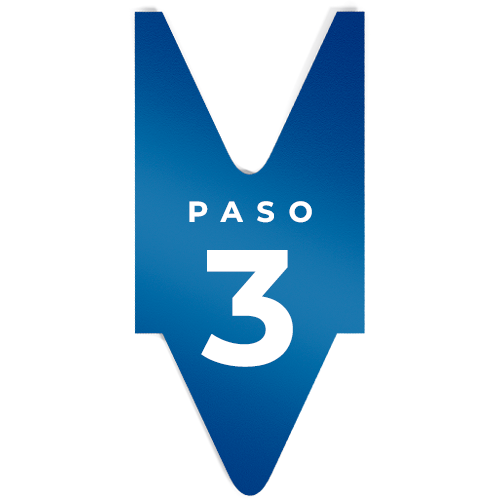 Paso-3-VERT